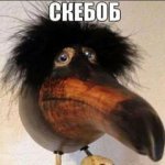 Densun_YT