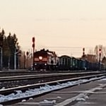 Максим тчэ19