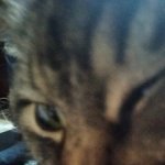 AZAMAT