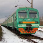 zver20095