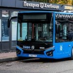 Бр бр патапим