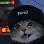 Maksim_Timoshin
